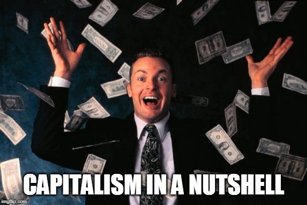 Capitalism: The Ultimate Plutocratic System | CAPITALISM IN A NUTSHELL | image tagged in memes,money man,capitalism,plutocracy,government,money magnet | made w/ Imgflip meme maker