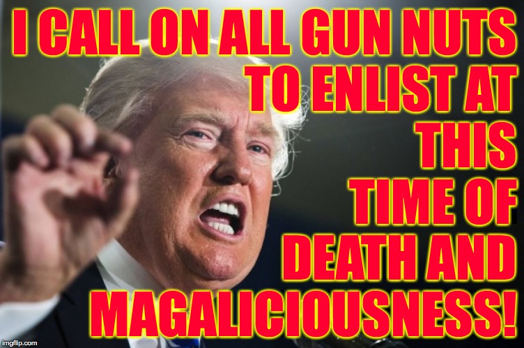 donald trump | I CALL ON ALL GUN NUTS
TO ENLIST AT
THIS
TIME OF
DEATH AND
MAGALICIOUSNESS! | image tagged in donald trump | made w/ Imgflip meme maker