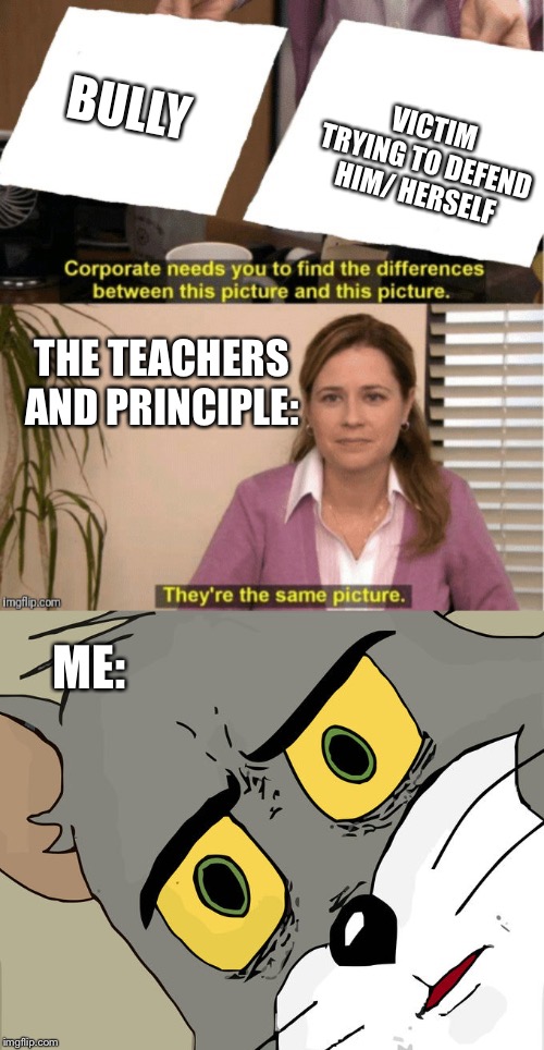 VICTIM TRYING TO DEFEND HIM/ HERSELF; BULLY; THE TEACHERS AND PRINCIPLE:; ME: | image tagged in office same picture,memes,unsettled tom | made w/ Imgflip meme maker
