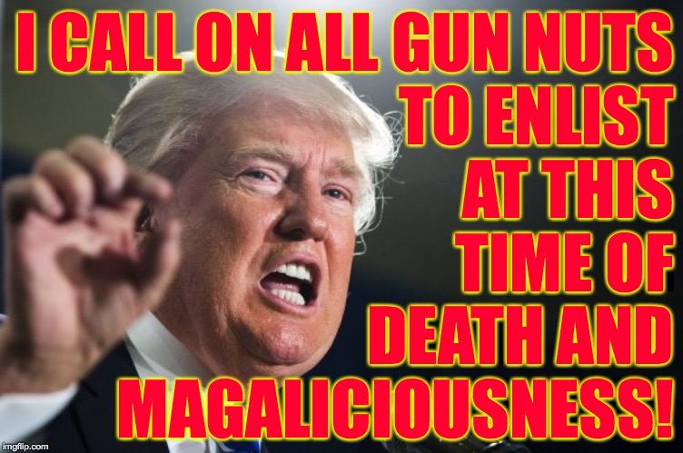 donald trump | I CALL ON ALL GUN NUTS
TO ENLIST
AT THIS
TIME OF
DEATH AND
MAGALICIOUSNESS! | image tagged in donald trump,memes,so you have chosen death,gun nuts | made w/ Imgflip meme maker