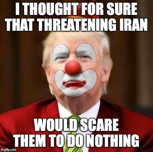 Donald Trump Clown | I THOUGHT FOR SURE THAT THREATENING IRAN; WOULD SCARE THEM TO DO NOTHING | image tagged in donald trump clown | made w/ Imgflip meme maker