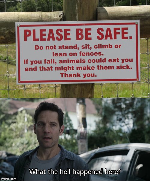 image tagged in confused ant-man | made w/ Imgflip meme maker