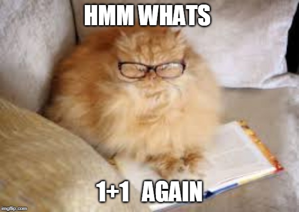 HMM WHATS; 1+1   AGAIN | image tagged in dumb cat | made w/ Imgflip meme maker