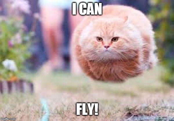 I CAN; FLY! | image tagged in yhuh | made w/ Imgflip meme maker
