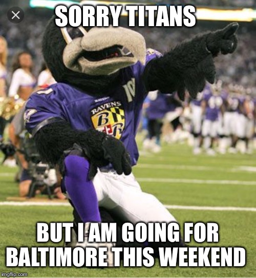 Baltimore Ravens | SORRY TITANS; BUT I AM GOING FOR BALTIMORE THIS WEEKEND | image tagged in baltimore ravens | made w/ Imgflip meme maker