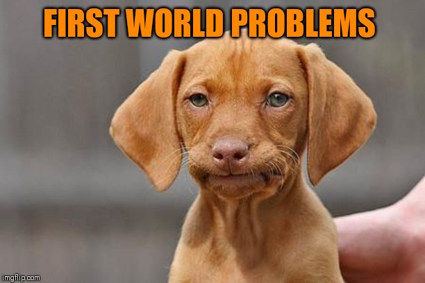 Dissapointed puppy | FIRST WORLD PROBLEMS | image tagged in dissapointed puppy | made w/ Imgflip meme maker