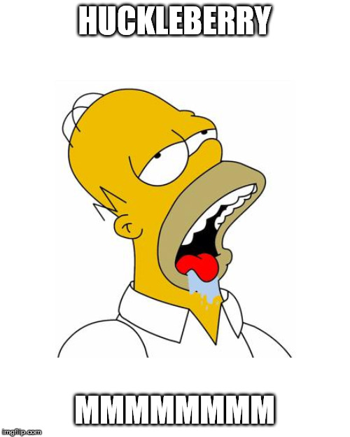 Homer Simpson Drooling | HUCKLEBERRY MMMMMMMM | image tagged in homer simpson drooling | made w/ Imgflip meme maker