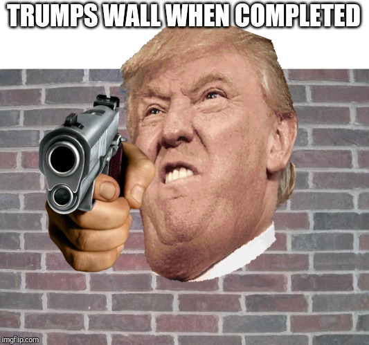 TRUMPS WALL WHEN COMPLETED | image tagged in the wall | made w/ Imgflip meme maker