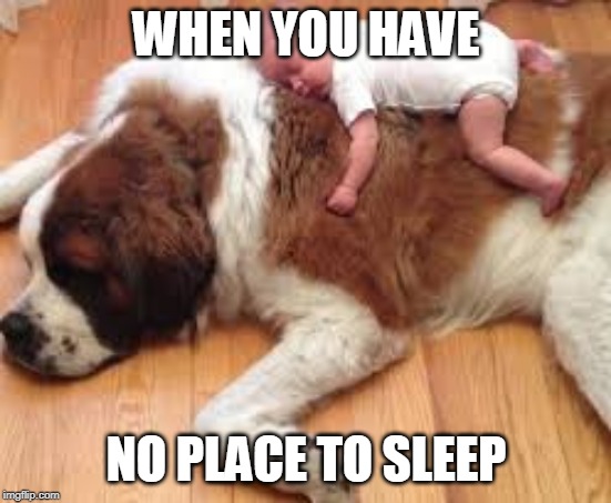 WHEN YOU HAVE; NO PLACE TO SLEEP | image tagged in sleep | made w/ Imgflip meme maker