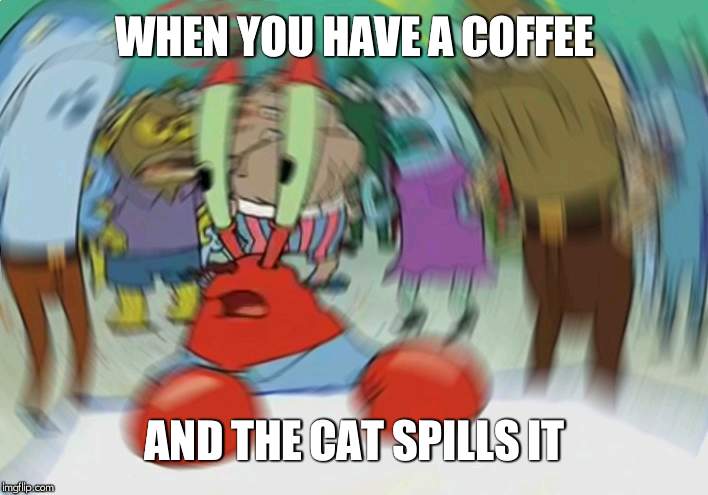 Mr Krabs Blur Meme | WHEN YOU HAVE A COFFEE; AND THE CAT SPILLS IT | image tagged in memes,mr krabs blur meme | made w/ Imgflip meme maker