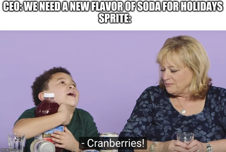 Wanna Sprite Crannberry? | CEO: WE NEED A NEW FLAVOR OF SODA FOR HOLIDAYS
  SPRITE: | image tagged in sprite cranberry,memes | made w/ Imgflip meme maker
