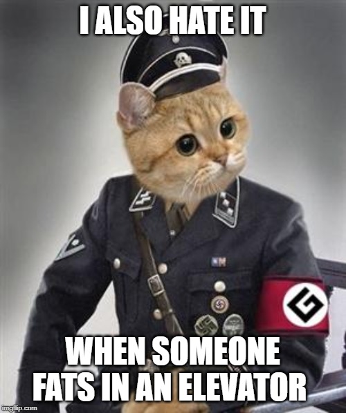 Grammar Nazi Cat | I ALSO HATE IT WHEN SOMEONE FATS IN AN ELEVATOR | image tagged in grammar nazi cat | made w/ Imgflip meme maker