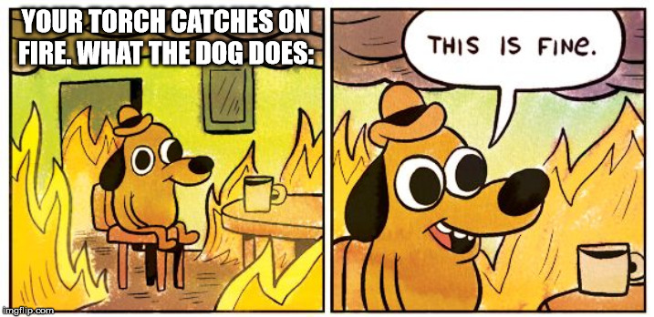 This Is Fine Meme | YOUR TORCH CATCHES ON FIRE. WHAT THE DOG DOES: | image tagged in this is fine dog | made w/ Imgflip meme maker