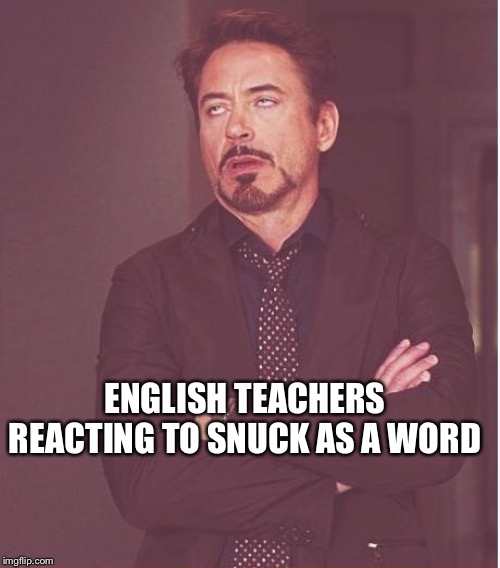 Face You Make Robert Downey Jr Meme | ENGLISH TEACHERS REACTING TO SNUCK AS A WORD | image tagged in memes,face you make robert downey jr | made w/ Imgflip meme maker
