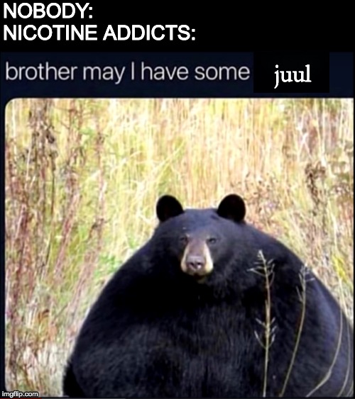 bear vape | NOBODY: 
NICOTINE ADDICTS:; juul | image tagged in fat bear,juul,vape,funny,memes | made w/ Imgflip meme maker