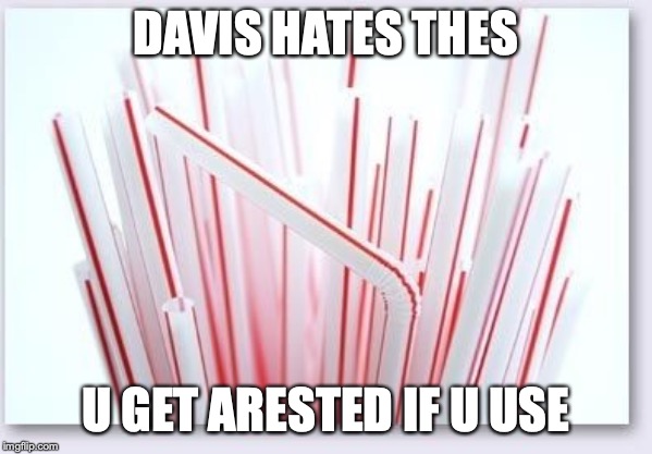 Straws | DAVIS HATES THES; U GET ARESTED IF U USE | image tagged in straws | made w/ Imgflip meme maker