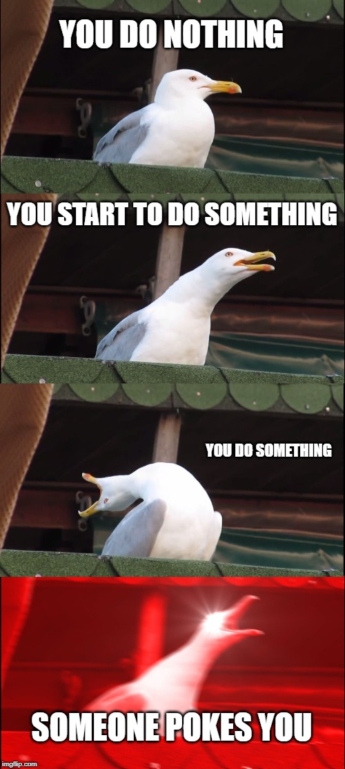 Inhaling Seagull | YOU DO NOTHING; YOU START TO DO SOMETHING; YOU DO SOMETHING; SOMEONE POKES YOU | image tagged in memes,inhaling seagull | made w/ Imgflip meme maker
