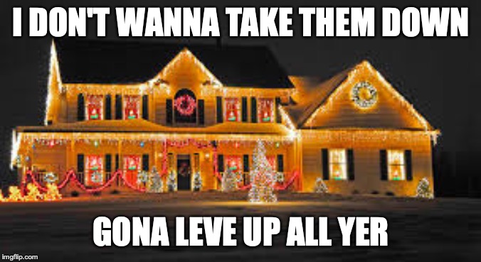 Christmas lights | I DON'T WANNA TAKE THEM DOWN; GONA LEVE UP ALL YER | image tagged in christmas lights | made w/ Imgflip meme maker