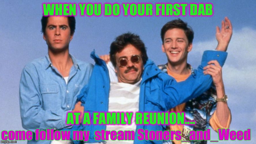 Weekend at Bernie's | WHEN YOU DO YOUR FIRST DAB; AT A FAMILY REUNION.... come follow my  stream Stoners_and_Weed | image tagged in weekend at bernie's | made w/ Imgflip meme maker