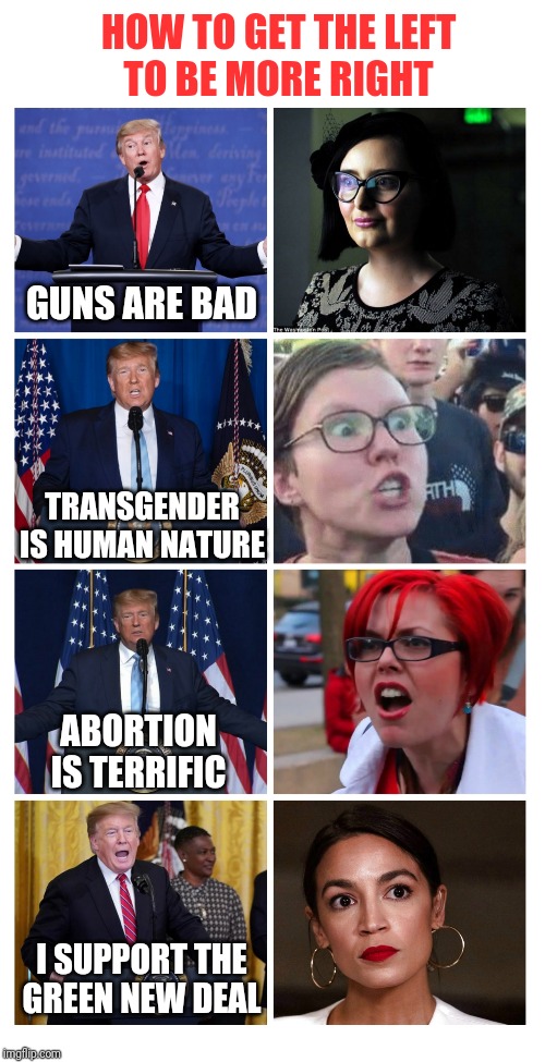 Trump Should Try This Strategy | HOW TO GET THE LEFT
TO BE MORE RIGHT; GUNS ARE BAD; TRANSGENDER IS HUMAN NATURE; ABORTION IS TERRIFIC; I SUPPORT THE
GREEN NEW DEAL | image tagged in trump,leftists,politics,truth,hypocrisy | made w/ Imgflip meme maker