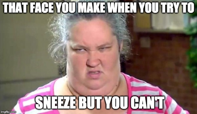 Mama June | THAT FACE YOU MAKE WHEN YOU TRY TO; SNEEZE BUT YOU CAN'T | image tagged in mama june | made w/ Imgflip meme maker