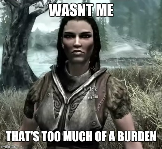 Lydia the skyrim retard | WASNT ME THAT'S TOO MUCH OF A BURDEN | image tagged in lydia the skyrim retard | made w/ Imgflip meme maker