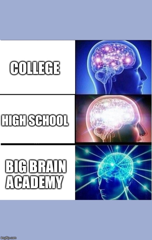 Expanding brain 3 panels | COLLEGE; HIGH SCHOOL; BIG BRAIN ACADEMY | image tagged in expanding brain 3 panels | made w/ Imgflip meme maker