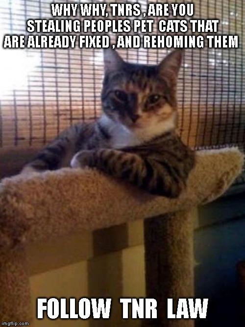 The Most Interesting Cat In The World | WHY WHY, TNRS , ARE YOU STEALING PEOPLES PET  CATS THAT ARE ALREADY FIXED , AND REHOMING THEM; FOLLOW  TNR  LAW | image tagged in memes,the most interesting cat in the world | made w/ Imgflip meme maker