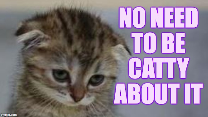 NO NEED TO BE CATTY ABOUT IT | made w/ Imgflip meme maker