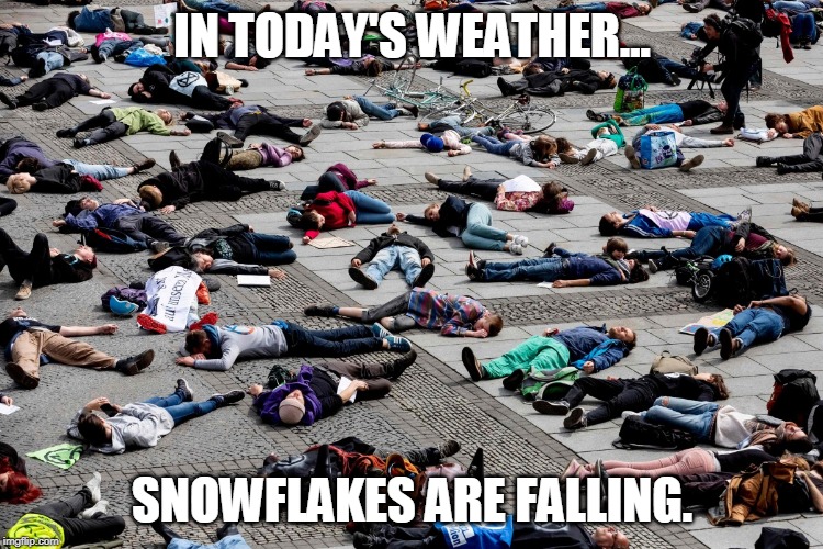 Snowflakes Are Falling | IN TODAY'S WEATHER... SNOWFLAKES ARE FALLING. | image tagged in protesters,snowflakes,triggered,liberals,climate change,butthurt | made w/ Imgflip meme maker