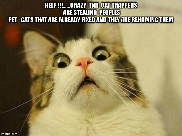 Scared Cat | HELP !!!,,,,,.CRAZY  TNR  CAT TRAPPERS   ARE STEALING  PEOPLES 
PET   CATS THAT ARE ALREADY FIXED AND THEY ARE REHOMING THEM | image tagged in memes,scared cat | made w/ Imgflip meme maker