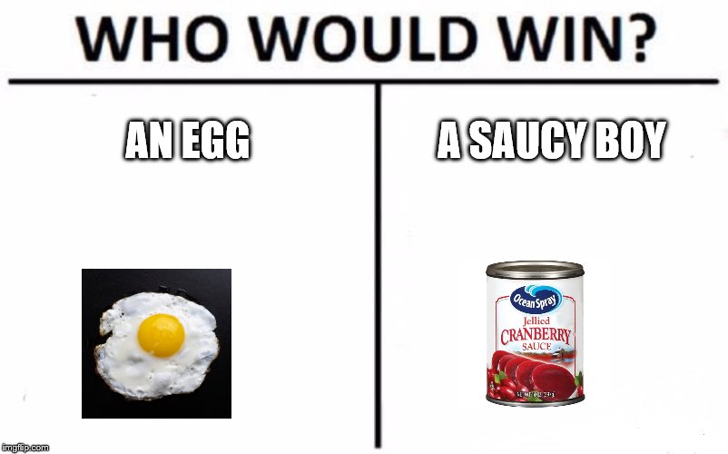 Who Would Win? Meme | AN EGG; A SAUCY BOY | image tagged in memes,who would win | made w/ Imgflip meme maker