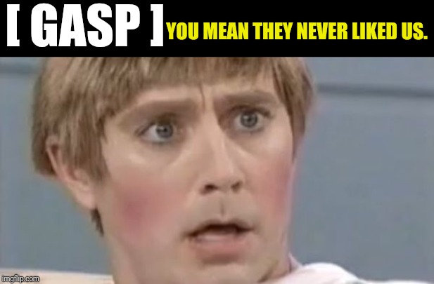 Mad TV Stuart | [ GASP ] YOU MEAN THEY NEVER LIKED US. | image tagged in mad tv stuart | made w/ Imgflip meme maker