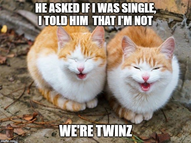 we're twinz | HE ASKED IF I WAS SINGLE, I TOLD HIM  THAT I'M NOT; WE'RE TWINZ | image tagged in two cats,twins,cat humor | made w/ Imgflip meme maker