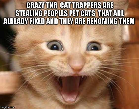 Excited Cat | CRAZY TNR  CAT TRAPPERS ARE STEALING PEOPLES PET CATS  THAT ARE ALREADY FIXED AND THEY ARE REHOMING THEM | image tagged in memes,excited cat | made w/ Imgflip meme maker