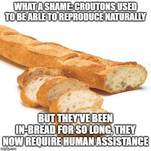 In-Bread Croutons | WHAT A SHAME: CROUTONS USED TO BE ABLE TO REPRODUCE NATURALLY; BUT THEY'VE BEEN IN-BREAD FOR SO LONG, THEY NOW REQUIRE HUMAN ASSISTANCE | image tagged in french bread baguette,crouton,in-bread,bad pun | made w/ Imgflip meme maker