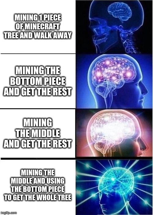 Expanding Brain | MINING 1 PIECE OF MINECRAFT TREE AND WALK AWAY; MINING THE BOTTOM PIECE AND GET THE REST; MINING THE MIDDLE AND GET THE REST; MINING THE MIDDLE AND USING THE BOTTOM PIECE TO GET THE WHOLE TREE | image tagged in memes,expanding brain | made w/ Imgflip meme maker