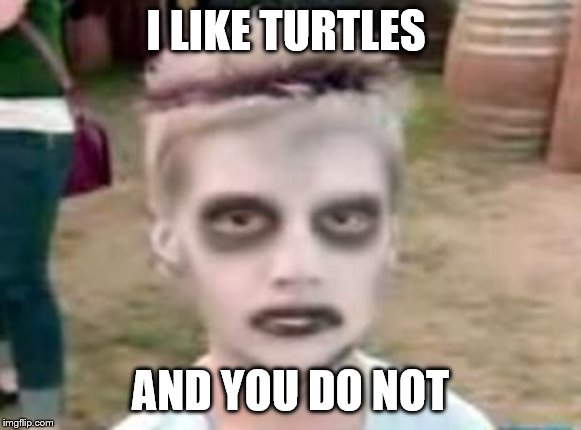 I like turtles | I LIKE TURTLES; AND YOU DO NOT | image tagged in i like turtles | made w/ Imgflip meme maker