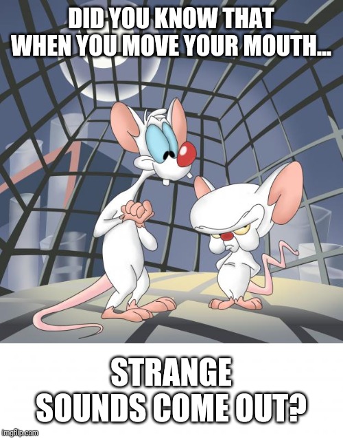 Pinky and the brain | DID YOU KNOW THAT WHEN YOU MOVE YOUR MOUTH... STRANGE SOUNDS COME OUT? | image tagged in pinky and the brain | made w/ Imgflip meme maker