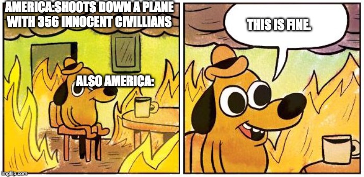 This is Fine (Blank) | AMERICA:SHOOTS DOWN A PLANE WITH 356 INNOCENT CIVILLIANS; THIS IS FINE. ALSO AMERICA: | image tagged in this is fine blank | made w/ Imgflip meme maker