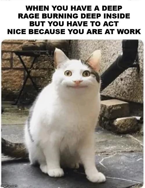 be nice | WHEN YOU HAVE A DEEP RAGE BURNING DEEP INSIDE BUT YOU HAVE TO ACT NICE BECAUSE YOU ARE AT WORK | image tagged in cats | made w/ Imgflip meme maker