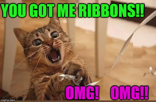 YOU GOT ME RIBBONS!! OMG!    OMG!! | image tagged in cats | made w/ Imgflip meme maker