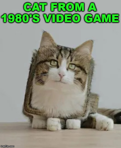 pixelated cat | CAT FROM A 1980'S VIDEO GAME | image tagged in cats,gaming | made w/ Imgflip meme maker