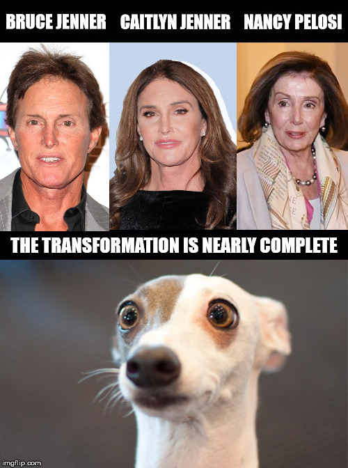 What the Hell is Happening? | NANCY PELOSI; CAITLYN JENNER; BRUCE JENNER; THE TRANSFORMATION IS NEARLY COMPLETE | image tagged in holy shit,bruce jenner,caitlyn jenner,nancy pelosi | made w/ Imgflip meme maker