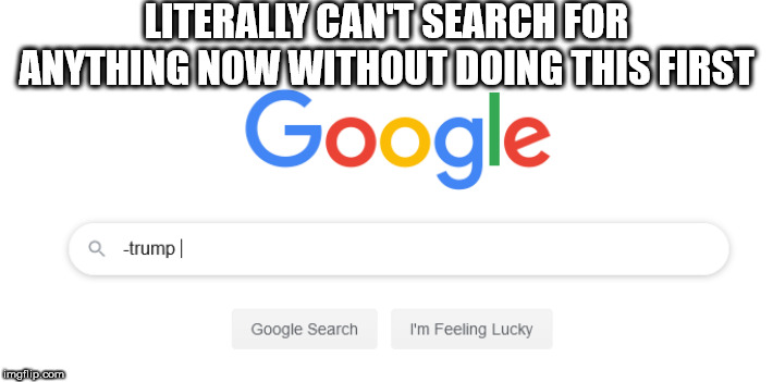 GIVE ME BACK MY INTERNET | LITERALLY CAN'T SEARCH FOR ANYTHING NOW WITHOUT DOING THIS FIRST | image tagged in google search,internet,donald trump | made w/ Imgflip meme maker