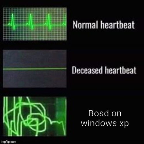 heartbeat rate | Bosd on windows xp | image tagged in heartbeat rate,bosd,windows xp,memes,funny | made w/ Imgflip meme maker