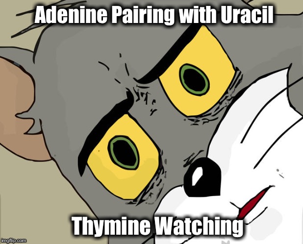 Unsettled Tom | Adenine Pairing with Uracil; Thymine Watching | image tagged in memes,unsettled tom | made w/ Imgflip meme maker