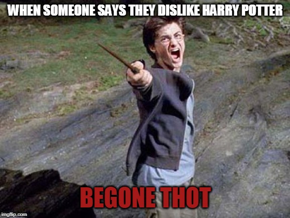 Harry Potter Yelling | WHEN SOMEONE SAYS THEY DISLIKE HARRY POTTER; BEGONE THOT | image tagged in harry potter yelling | made w/ Imgflip meme maker