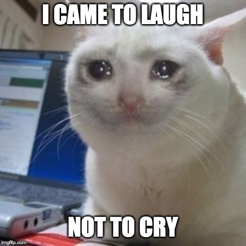 Crying cat | I CAME TO LAUGH NOT TO CRY | image tagged in crying cat | made w/ Imgflip meme maker