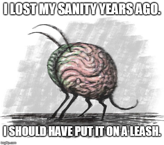 lost mind | I LOST MY SANITY YEARS AGO. I SHOULD HAVE PUT IT ON A LEASH. | image tagged in lost mind | made w/ Imgflip meme maker